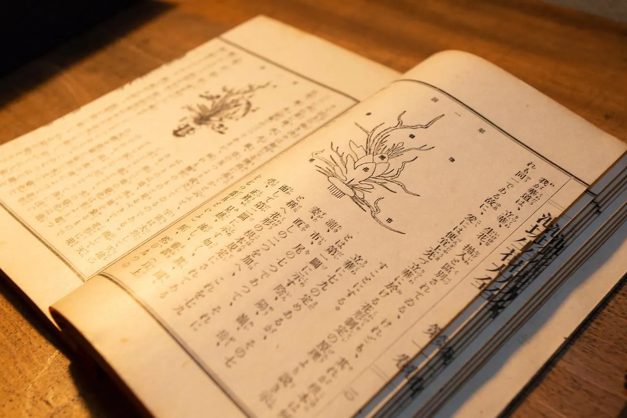 Miyabi Shijo Kawaramachi Villa Kiotó Japán
